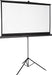 Insignia - 75" Tripod Projector Screen - Black/White