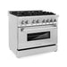 ZLINE - 36" Legacy Dual Fuel Range w/ 6 Burner Cooktop  Electric Oven w/ DuraSnow Door (RA-SN-36) - Stainless Steel