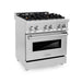 ZLINE - 4.0 cu. ft. Dual Fuel Range with Gas Stove and Electric Oven with Brass Burners - Stainless Steel