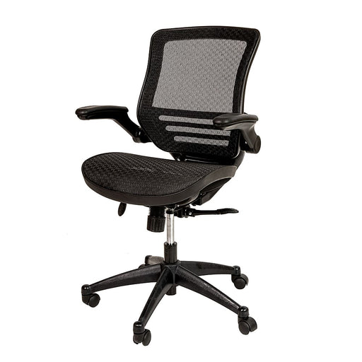 Alamont Home - Warfield Modern Mesh Executive Swivel Office Chair - Black Mesh/Black Frame