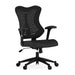 Alamont Home - Kale Contemporary Mesh Executive Swivel Office Chair - Black Mesh