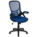 Alamont Home - Porter Contemporary Mesh Executive Swivel Office Chair - Blue