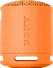 Sony SRS-XB100 - speaker - for portable use - wireless