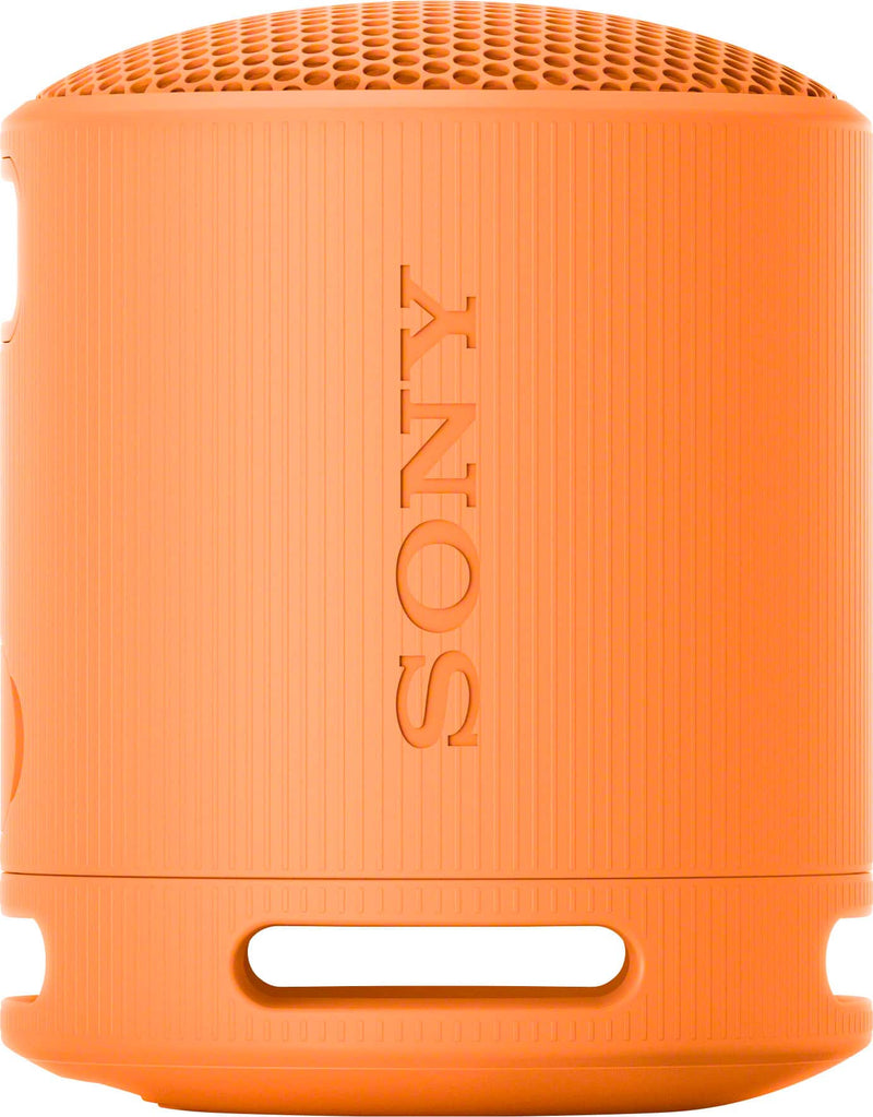 Sony SRS-XB100 - speaker - for portable use - wireless