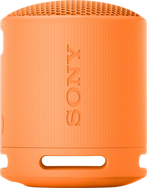 Sony SRS-XB100 - speaker - for portable use - wireless