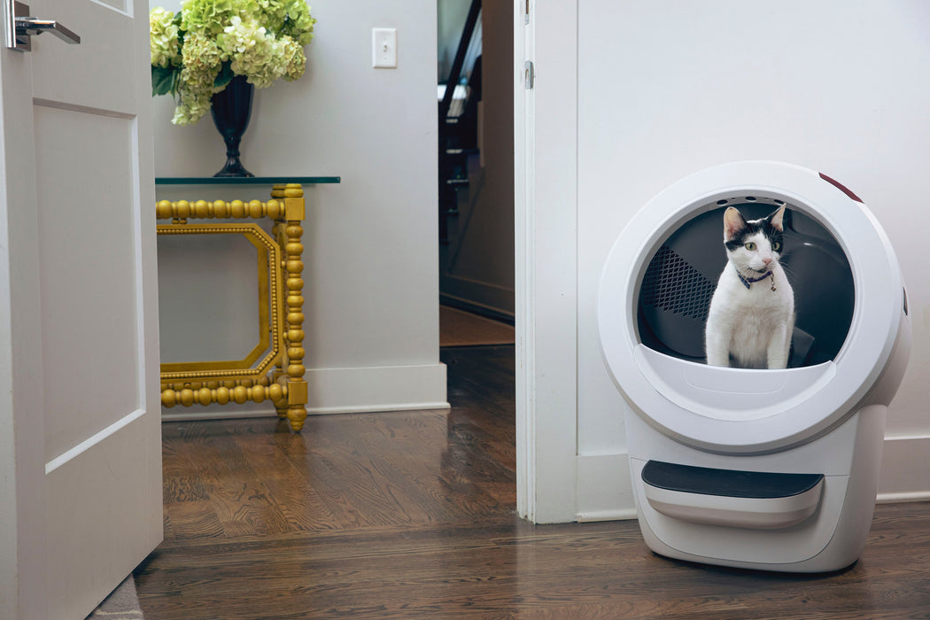 Whisker - Litter-Robot 4 Smart App-Controlled Self-Cleaning Litter Box Core Accessories Bundle - White