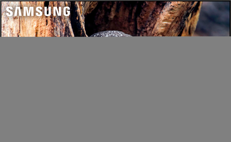 Samsung - 65 Class Q80D Series QLED 4K Smart Tizen TV (2024)