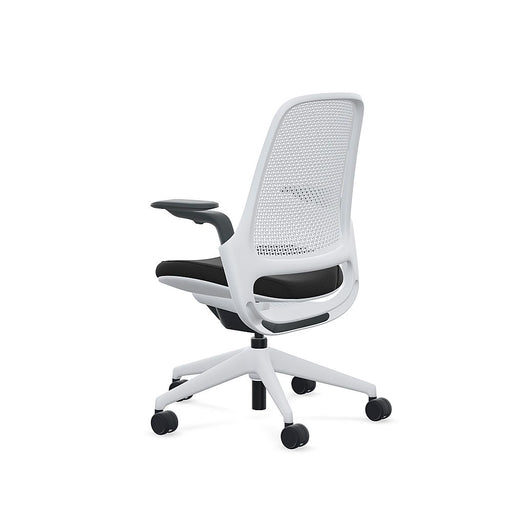 Steelcase - Series 1 Air Chair with Seagull Frame - Era Onyx / Seagull Frame