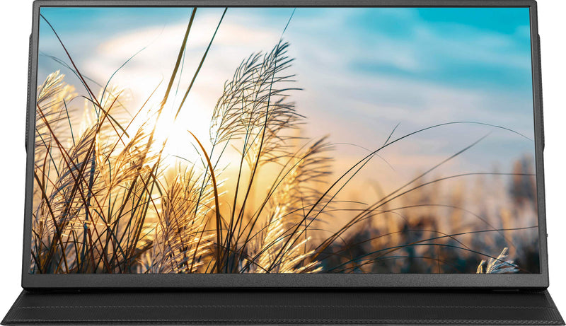 Insignia - 15.6" LED FHD Portable Monitor (Mini HDMI USB-C) - Black