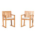 Walker Edison - Modern Solid Wood 2-Piece Slatted Outdoor Dining Chair Set - Natural