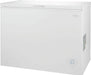 Insignia - 10.2 Cu. Ft. Garage-Ready Chest Freezer - White