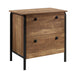 Sauder - Station House 2-Drawer Lateral File Cabinet - Etched Oak