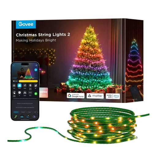 Govee - 65.6ft Green Christmas String Lights 2S - Multi